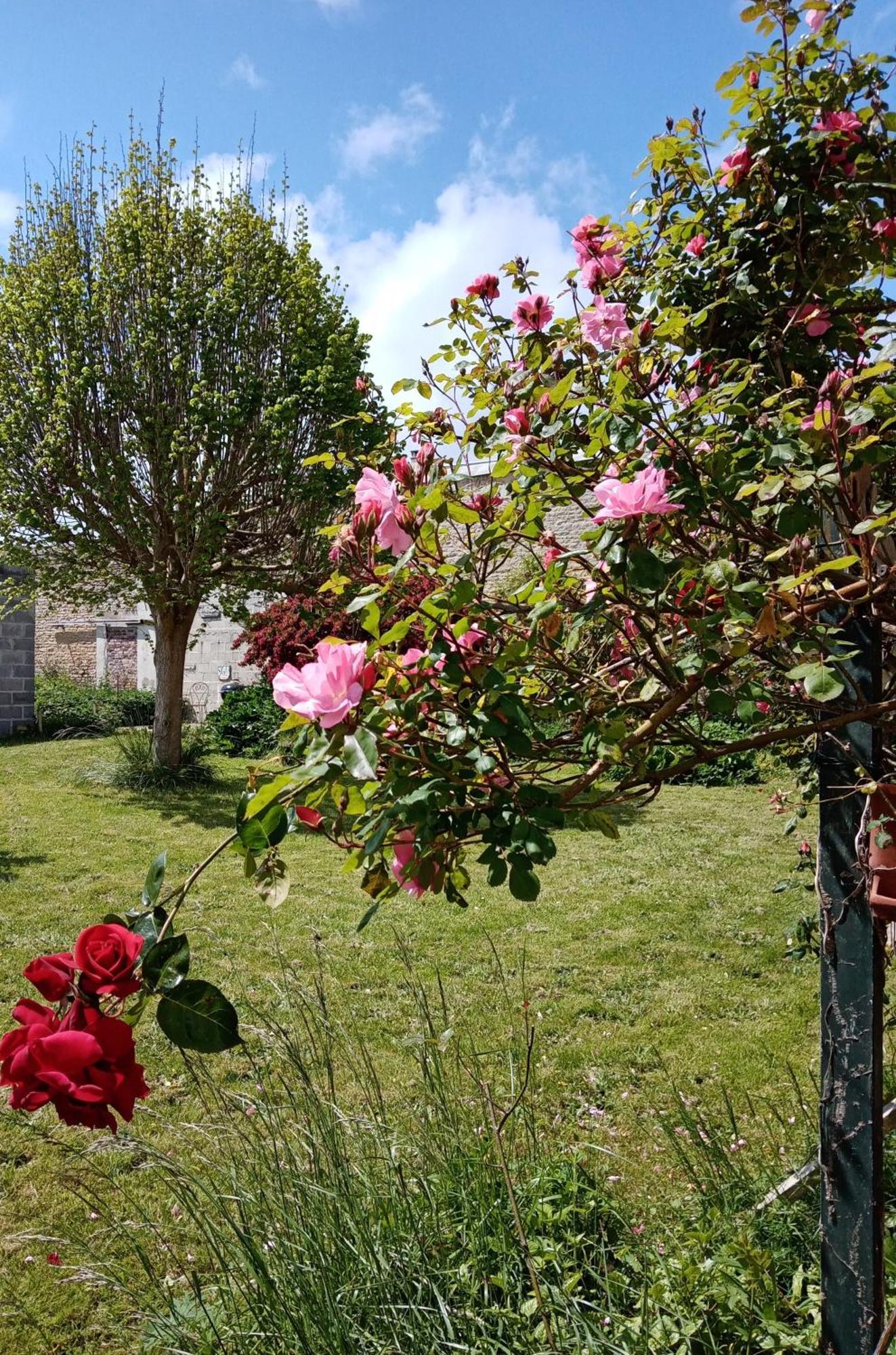 Rose Garden Bayeux Bed and Breakfast Eksteriør billede